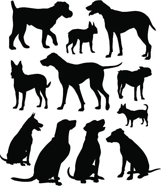 Vector illustration of Dogs!