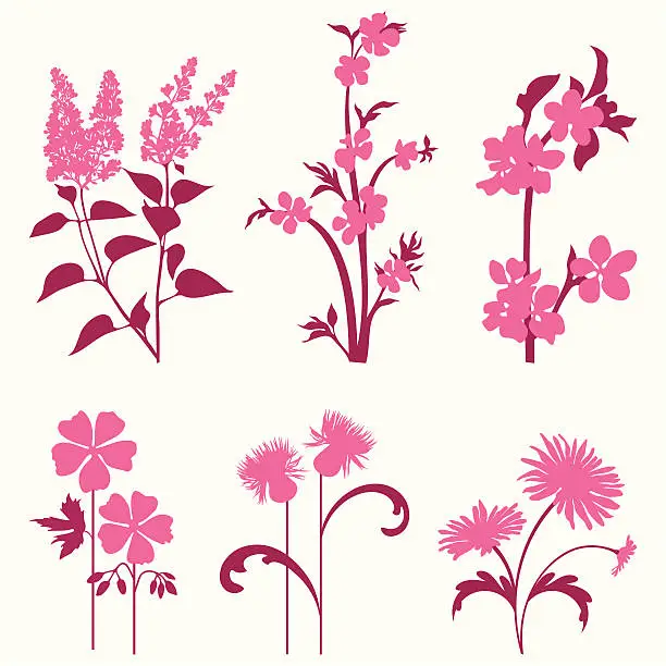 Vector illustration of Decorative flowers