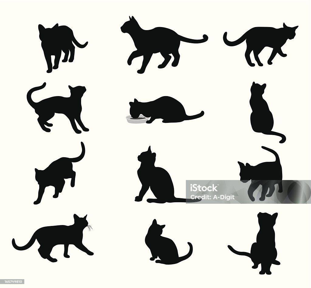 Purring Cats Vector Silhouette A-Digit Domestic Cat stock vector