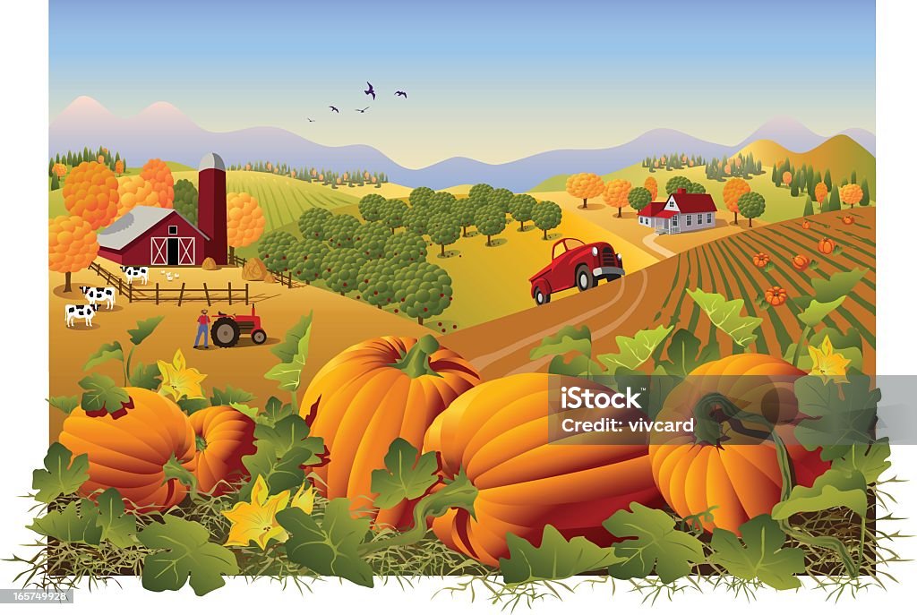 Illustration of a farm and field in autumn with pumpkins Autumn rural landscape at harvest time with pumpkins patch in the foreground. Grouped and layered for easy editing. High resolution jpg included. Pumpkin Patch stock vector