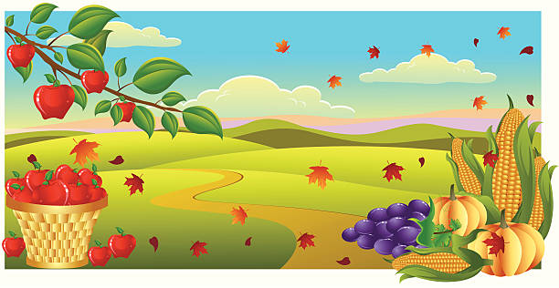harvest zeit. - red delicious apple illustrations stock-grafiken, -clipart, -cartoons und -symbole