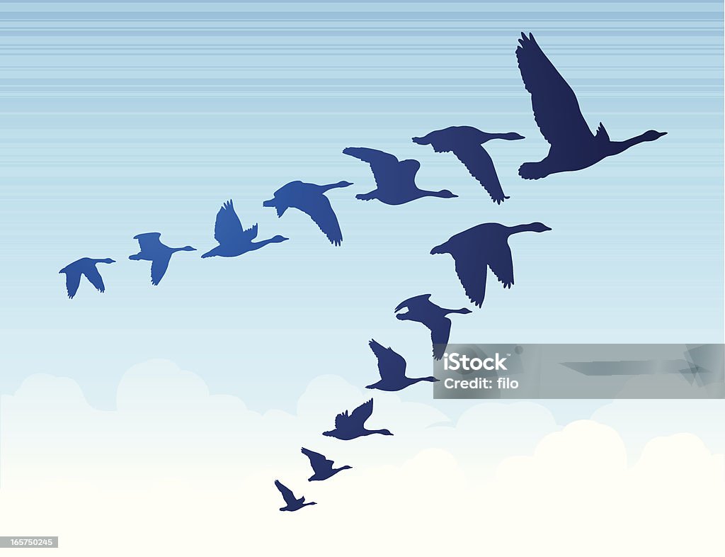 Geese Flying South Geese flying south in a v formation. Goose - Bird stock vector