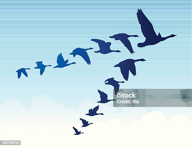 Geese Flying South Stock Illustration - Download Image Now - Goose - Bird, Birds Flying in V-Formation, Bird