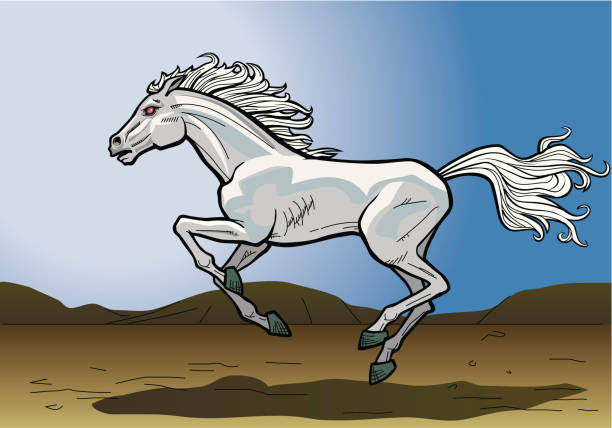 white horse vector art illustration