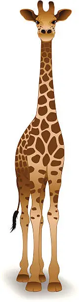 Vector illustration of A tall cute giraffe illustration