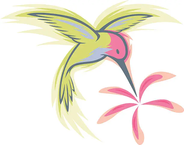 Vector illustration of humming bird design
