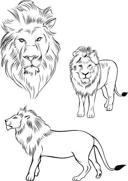 Vector illustration of Illustration of a lion