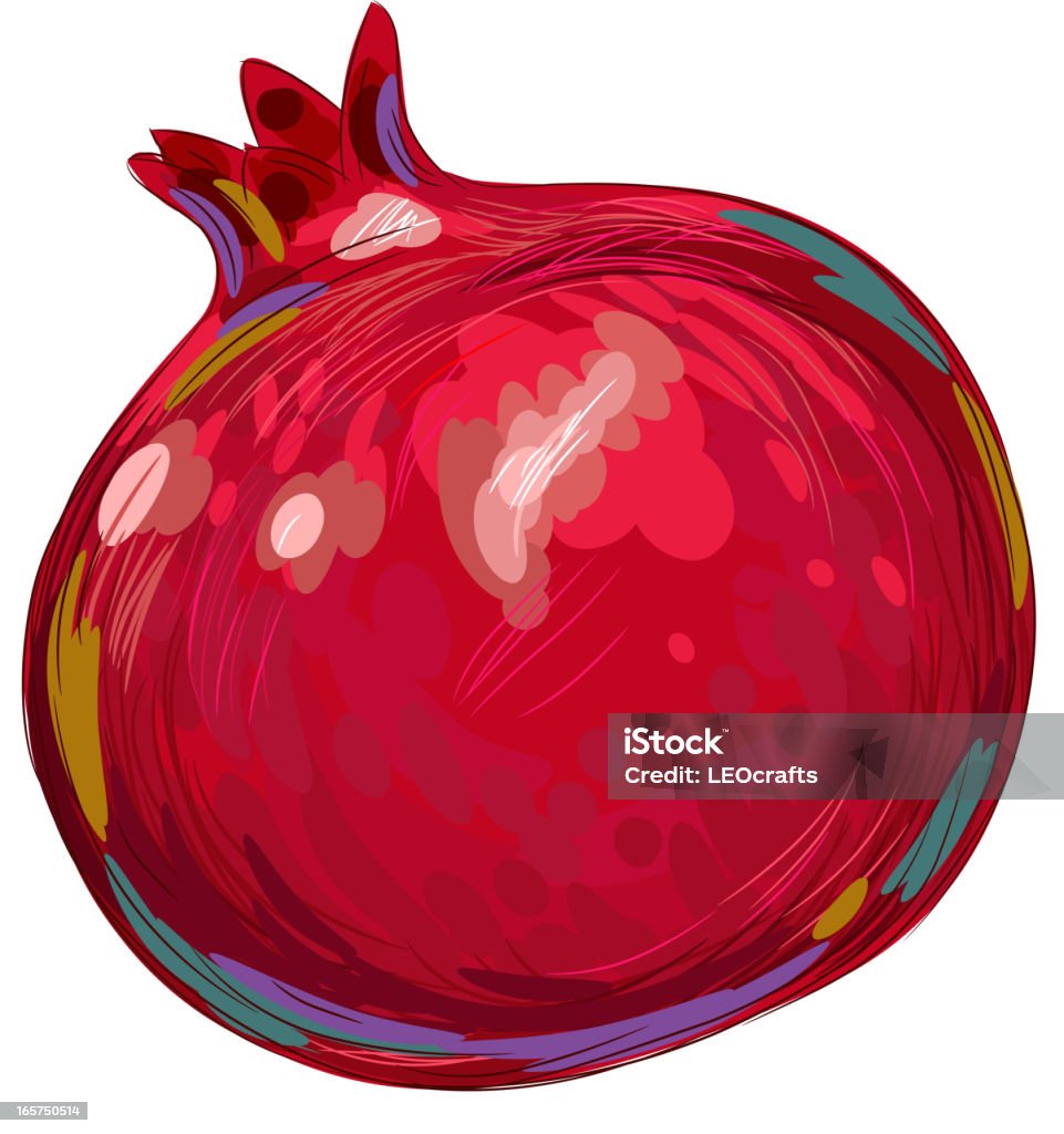 Fresca granada Aislado en blanco - arte vectorial de Granada - Fruta tropical libre de derechos