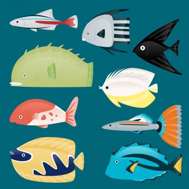 Vector illustration of Deep water sea tropical aquatic marine fish set