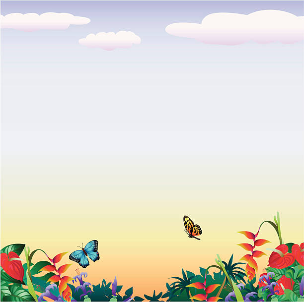 illustrazioni stock, clip art, cartoni animati e icone di tendenza di farfalle con copyspace tropicale - papilio zagreus