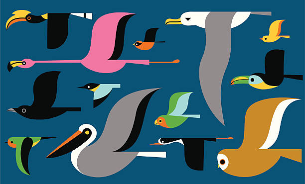 illustrazioni stock, clip art, cartoni animati e icone di tendenza di migrazione degli uccelli - pellicano
