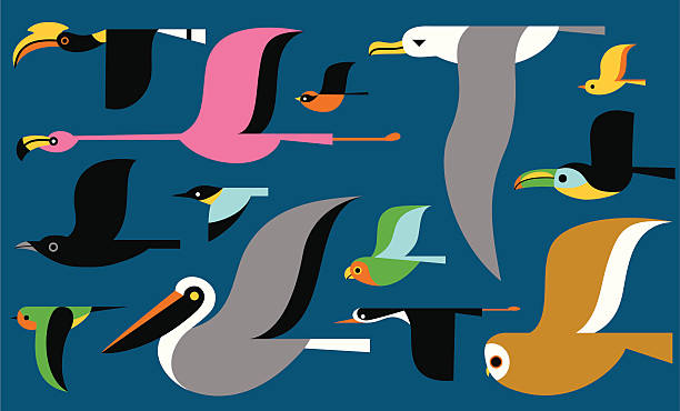 Migrating Birds Vector bird elements.  Colors can be easily edited. hornbill stock illustrations