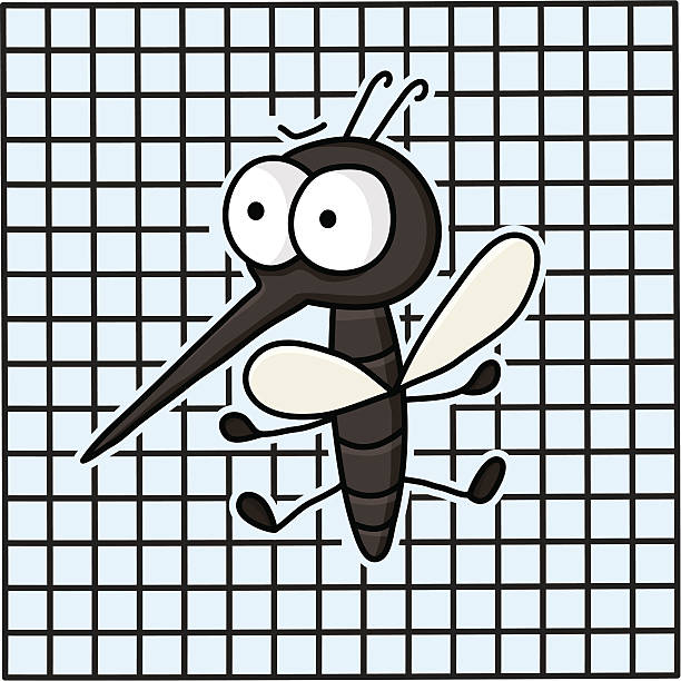 ilustrações de stock, clip art, desenhos animados e ícones de uma rede de mosquito mosca - mosquito mosquito netting protection insect