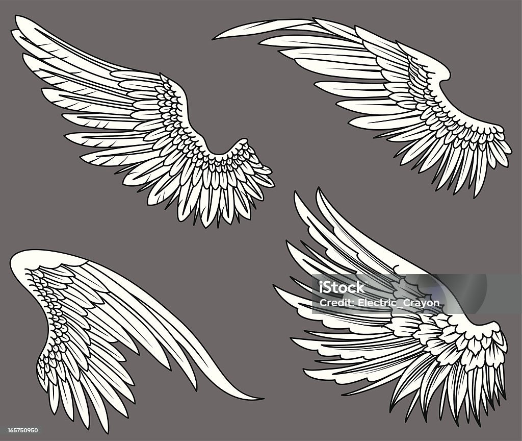 Wings Hand-drawn vector wings.  Colors can be easily changed. Animal Wing stock vector