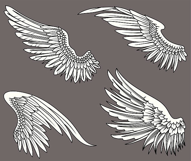 Wings Hand-drawn vector wings.  Colors can be easily changed. wings tattoos stock illustrations