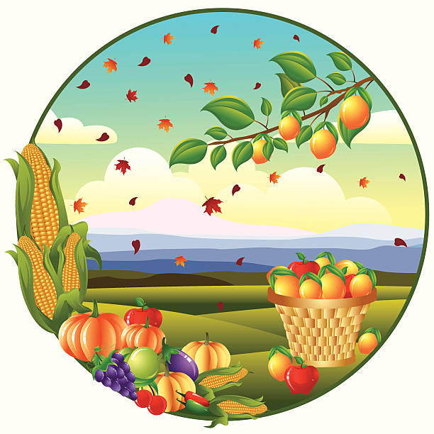 illustrazioni stock, clip art, cartoni animati e icone di tendenza di del ringraziamento banner/paesaggio. - thanksgiving plum autumn apple