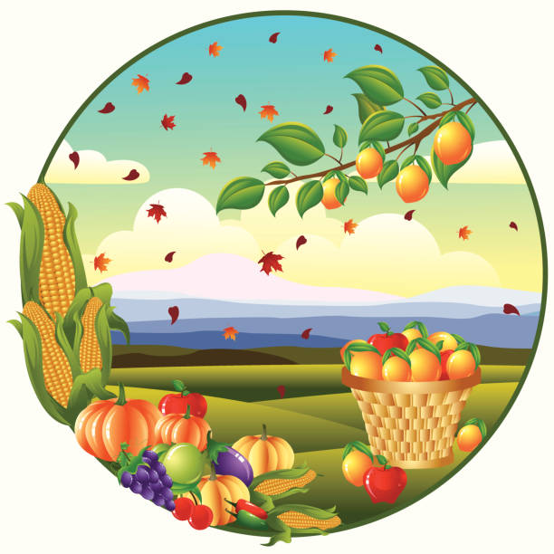 추수감사절 배너입니다/가로. - thanksgiving plum autumn apple stock illustrations