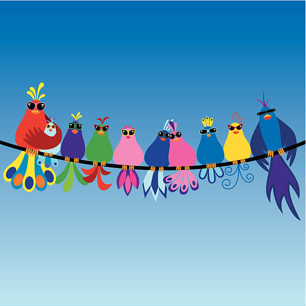 illustrazioni stock, clip art, cartoni animati e icone di tendenza di famiglia di uccelli indossando occhiali da sole - bird spring family cartoon
