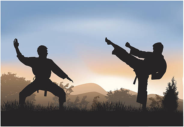 ilustrações de stock, clip art, desenhos animados e ícones de formação em natureza - karate kickboxing martial arts silhouette