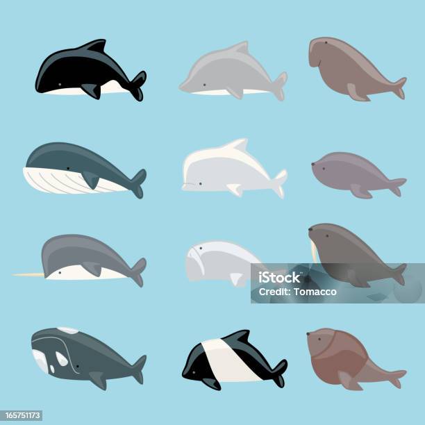 Collezione Di Mammiferi Marini - Immagini vettoriali stock e altre immagini di Beluga - Beluga, Balena azzurra, Foca