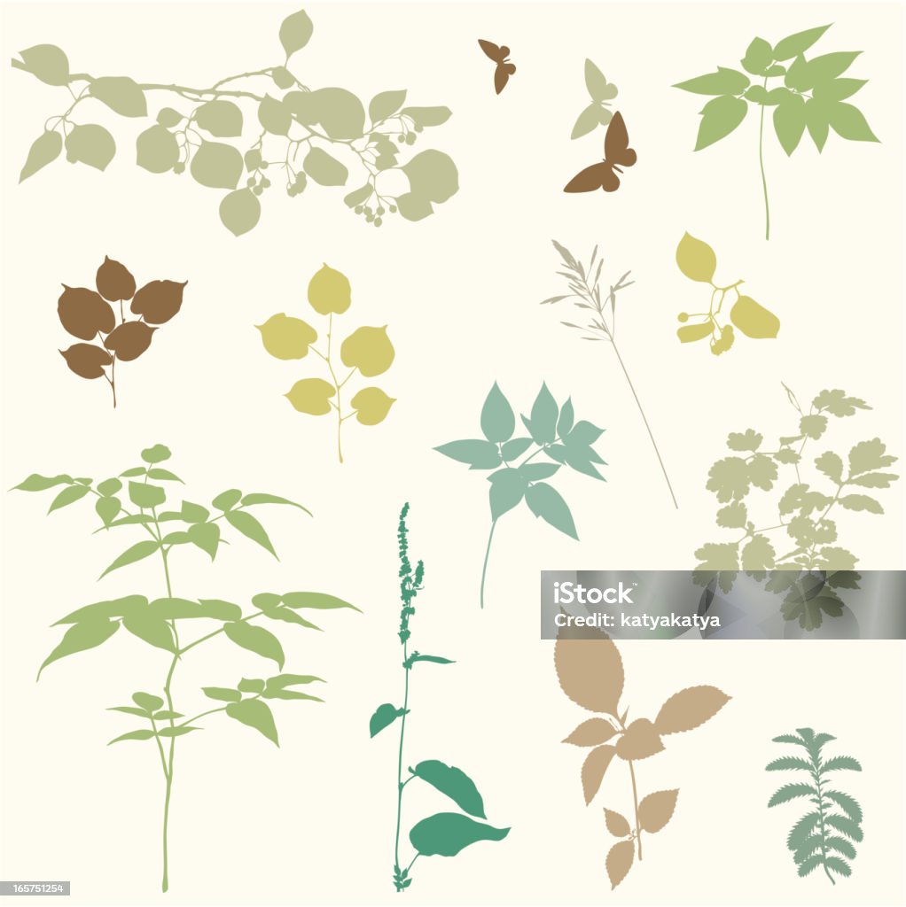 Design Floral Collection - Vetor de Borboleta royalty-free