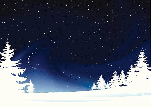 Vector illustration of Frozen winter landscape stars snow and moon