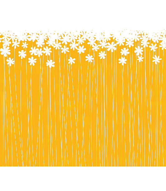 A lot of white flowers in a orange field vector art illustration