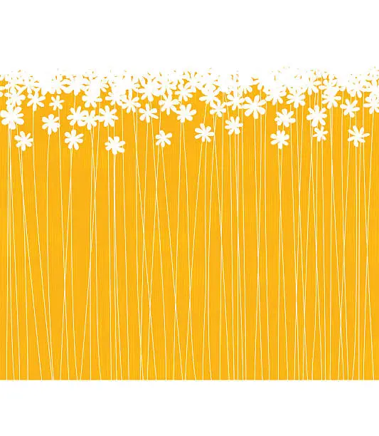Vector illustration of A lot of white flowers in a orange field