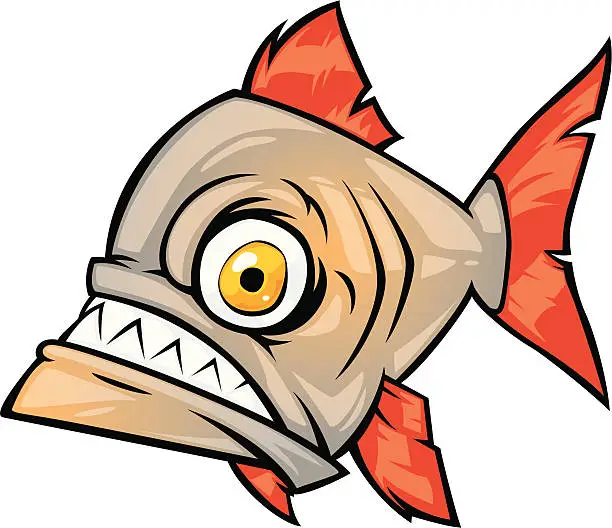 Vector illustration of piranha