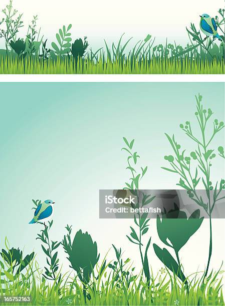Floral Designs Stock Illustration - Download Image Now - Flower, Backgrounds, Berry Fruit