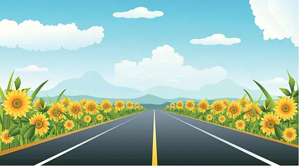 Vector illustration of road And sunflower..