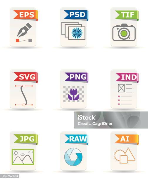 File Type Icon Set Design And Photography Stock Illustration - Download Image Now - Icon Symbol, Growth, Computer Software