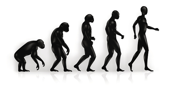 Evolution Stock Illustration - Download Image Now - Evolution ...