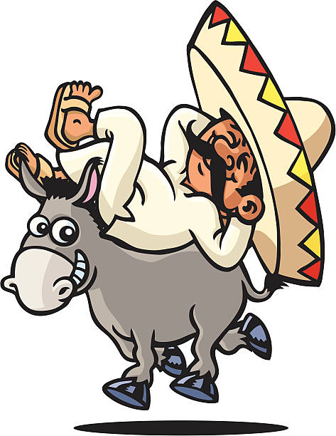Sleeping Mexican A mexican's sleeping on a donkey. Please check out my other images :) mexican mule stock illustrations