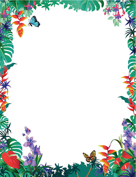ilustraciones, imágenes clip art, dibujos animados e iconos de stock de frontera con orquídeas tropical - tropical flower heliconia tropical climate flower
