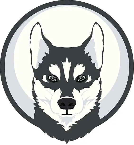 Vector illustration of husky mascot