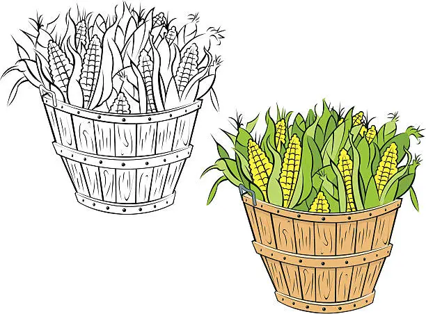 Vector illustration of Bushel of Corn in Husks