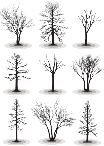 Dead or winter trees silhouettes (highly detailed)