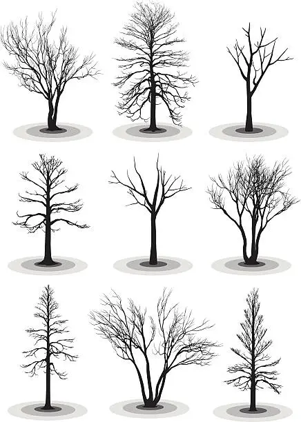 Vector illustration of Winter Trees