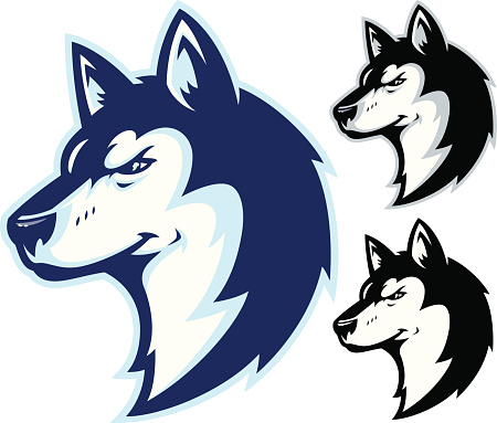 This is an illustration of a Husky head. Simple and easy to edit with NO GRADIENTS. All secondary color levels are removable down to a simple flat color image. The file is provided as an Illustrator 8 EPS and a 300dpi high-rez jpg.