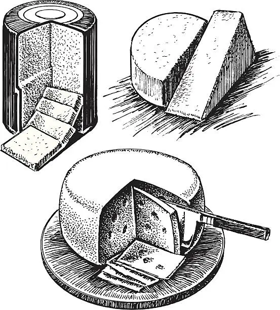 Vector illustration of Cheese Wheel, Sliced and Wedge