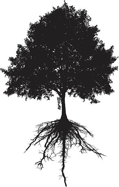 Árvore e as raízes - ilustração de arte vetorial