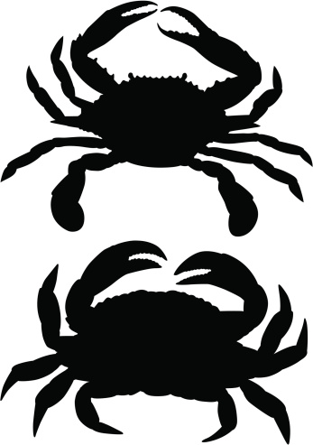 A pair of crabs in silhouette.