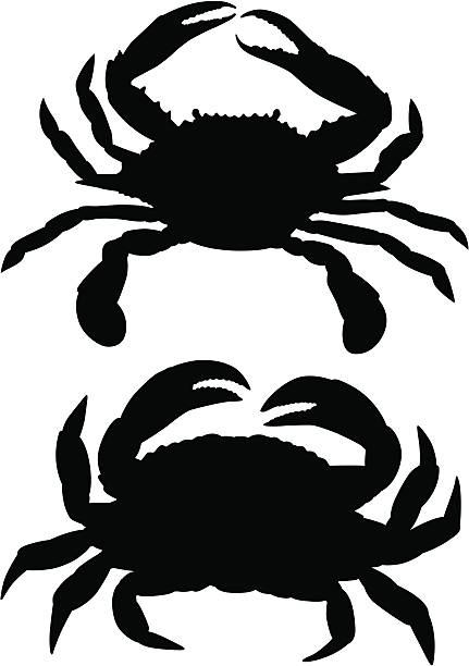 Crabs A pair of crabs in silhouette. crab stock illustrations