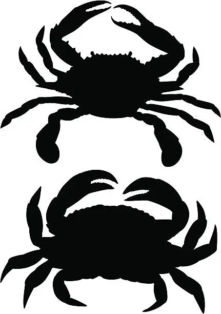 Vector illustration of Crabs