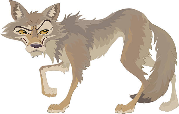 COYOTE vector art illustration