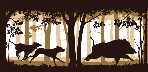 Illustration of two hunting dogs chasing a wild boar in deep forest. Editable vector illustration with elements as separate objects.
