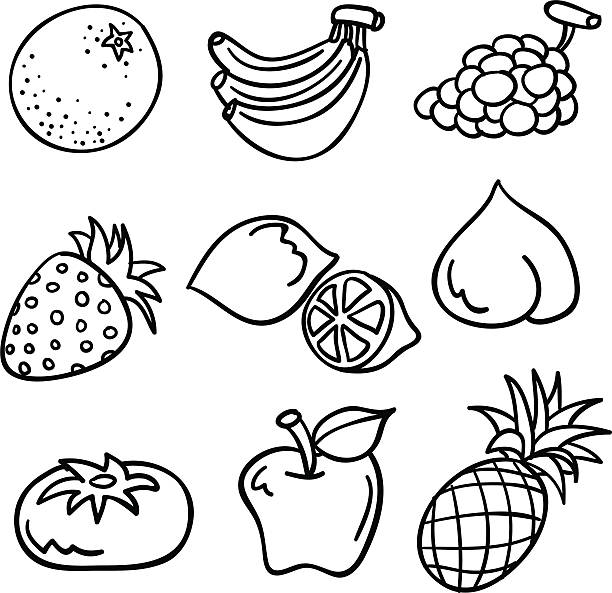 фрукты коллекции в черно-белом - apple fruit vector line art stock illustrations