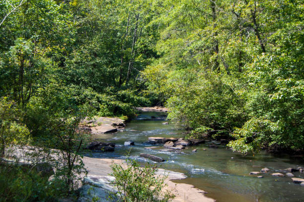 istock Line Creek Nature Area 1657563494