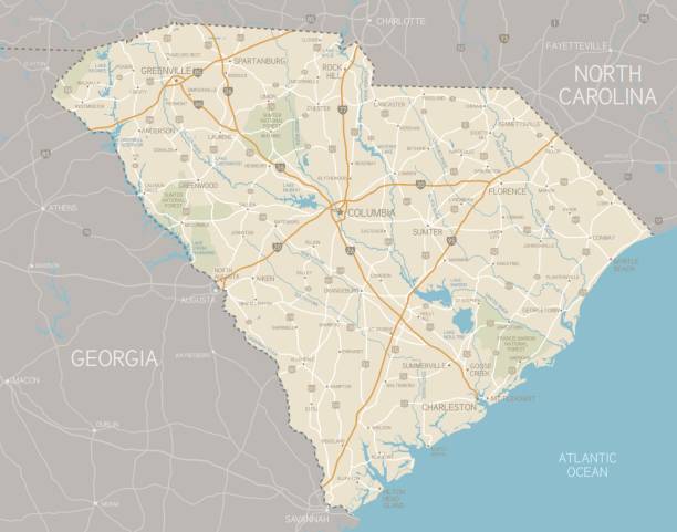 south carolina map - south carolina stock illustrations